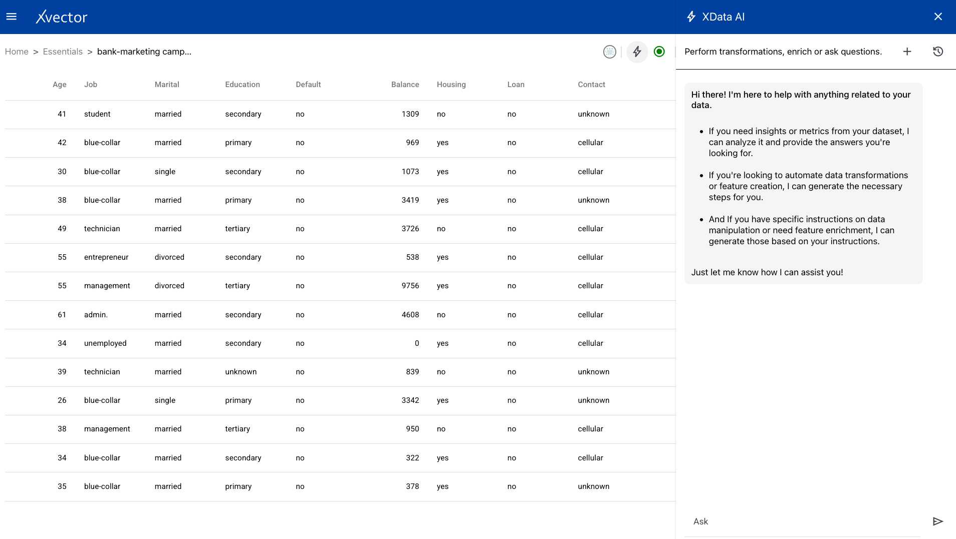 Dataset table view with GenAI interaction