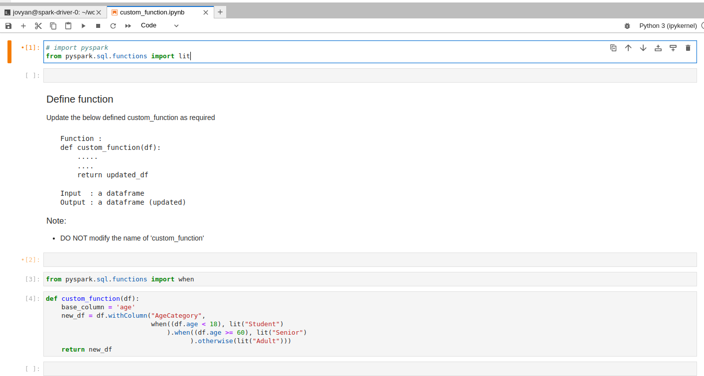Author function notebook editor for writing custom code