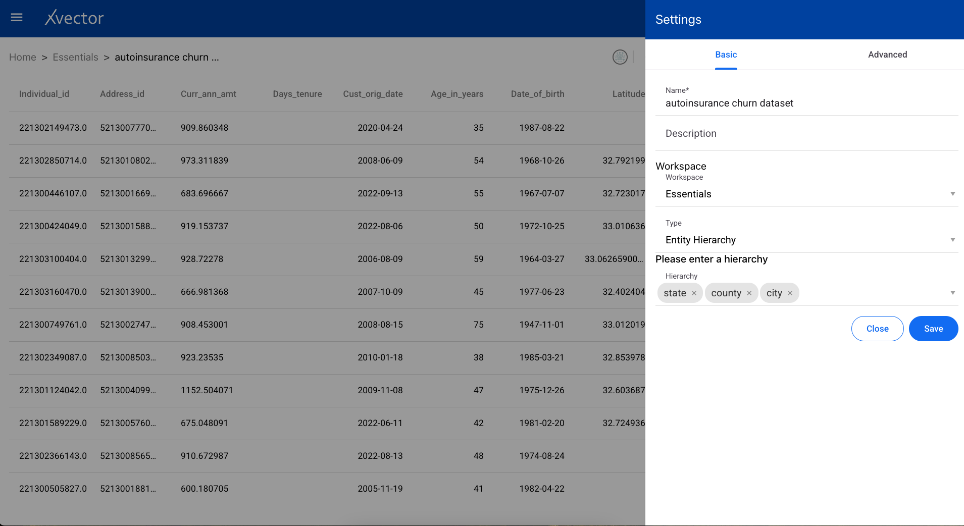 Dataset settings panel with basic and advanced configuration